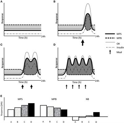 A Muscle-Centric Perspective on Intermittent Fasting: A Suboptimal Dietary Strategy for Supporting Muscle Protein Remodeling and Muscle Mass?